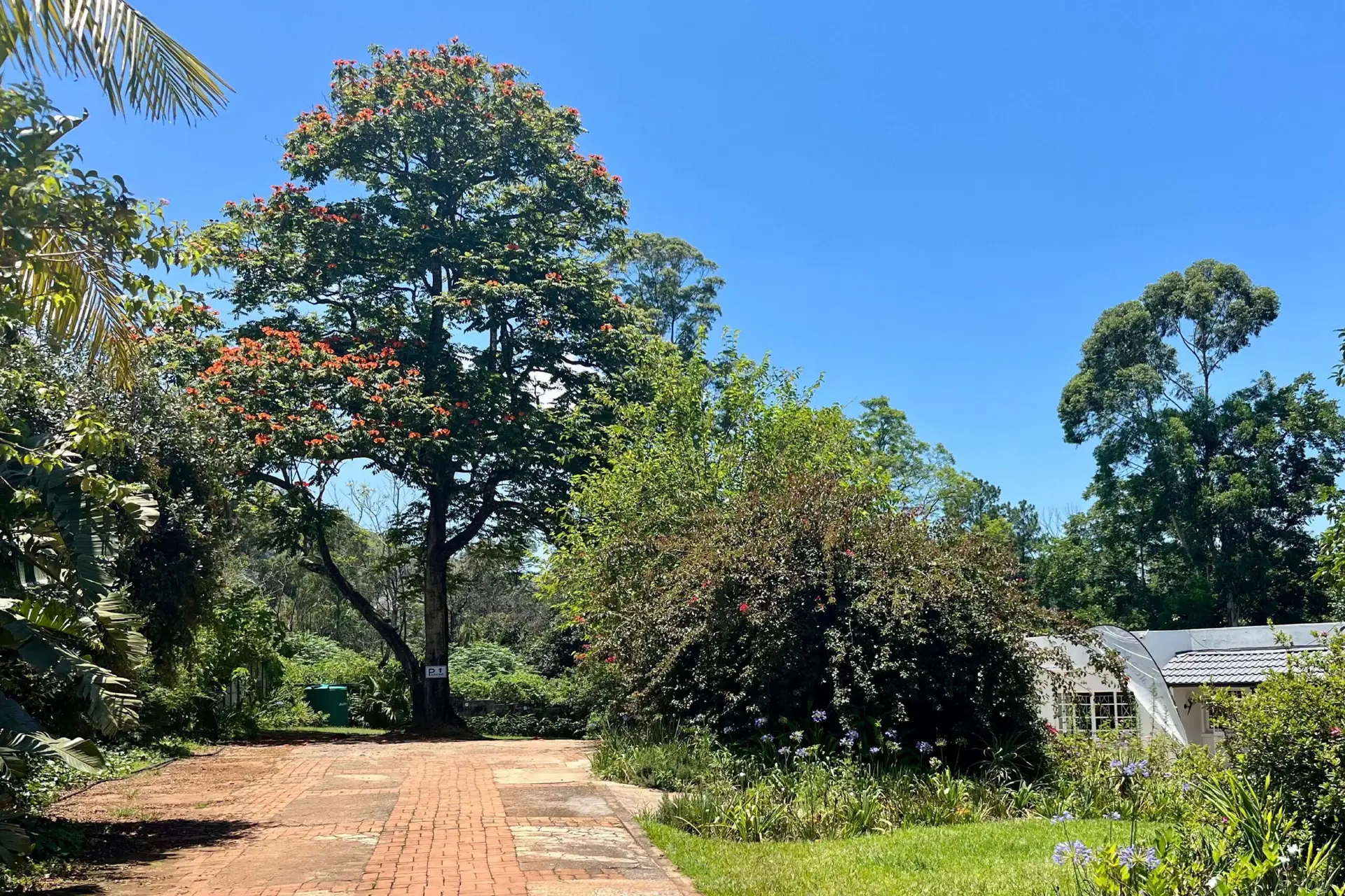 Malagwane Gardens gallery-04